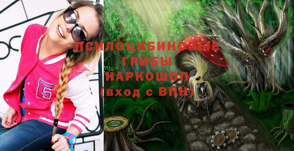 круглые Шарыпово