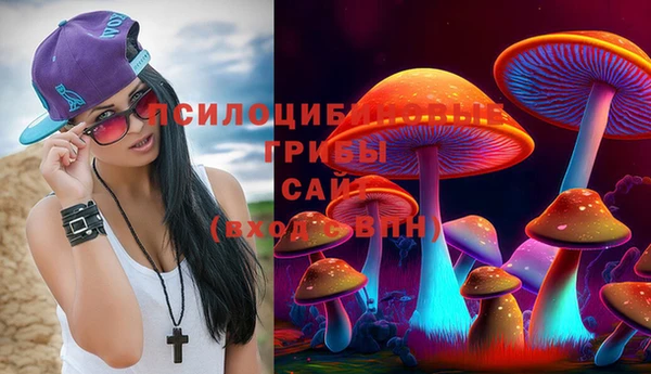 кристаллы Шали